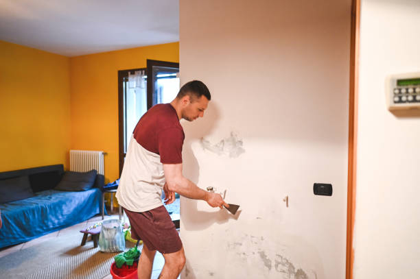 Best Post-Flood Mold Remediation in Islamorada Village Of Islands, FL